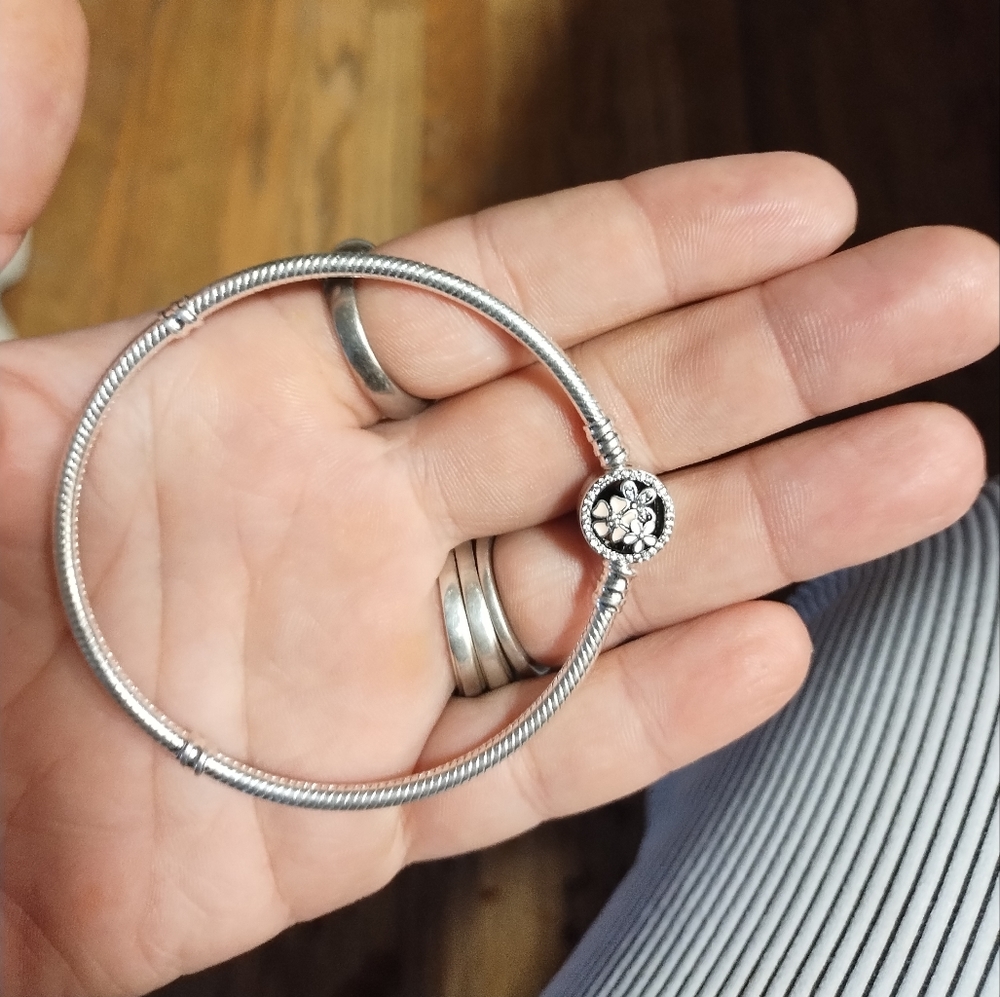 Pandora Bracelet